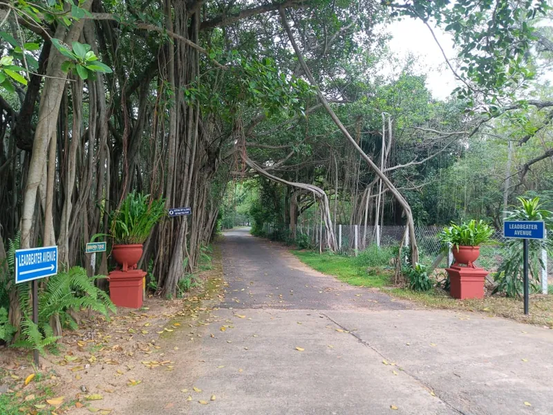 Adyar Theosophical Society