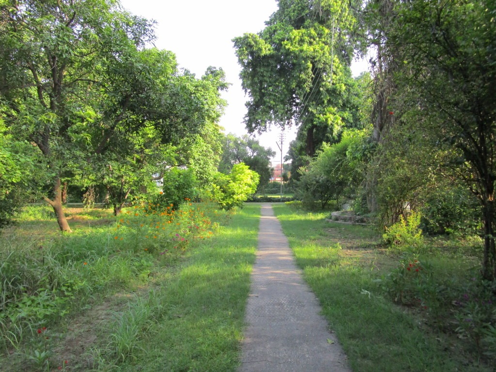 Pathway through the Indian Section campus, Varanasi